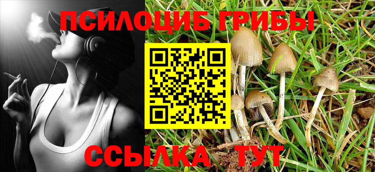 Псилоцибиновые грибы Cubensis  Псилоцибиновые грибы мицелий  Вход с VPN  Заречный 