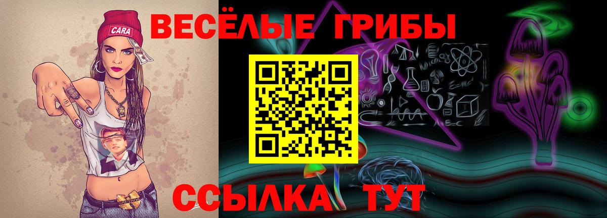 Галлюциногенные грибы мицелий Заречный